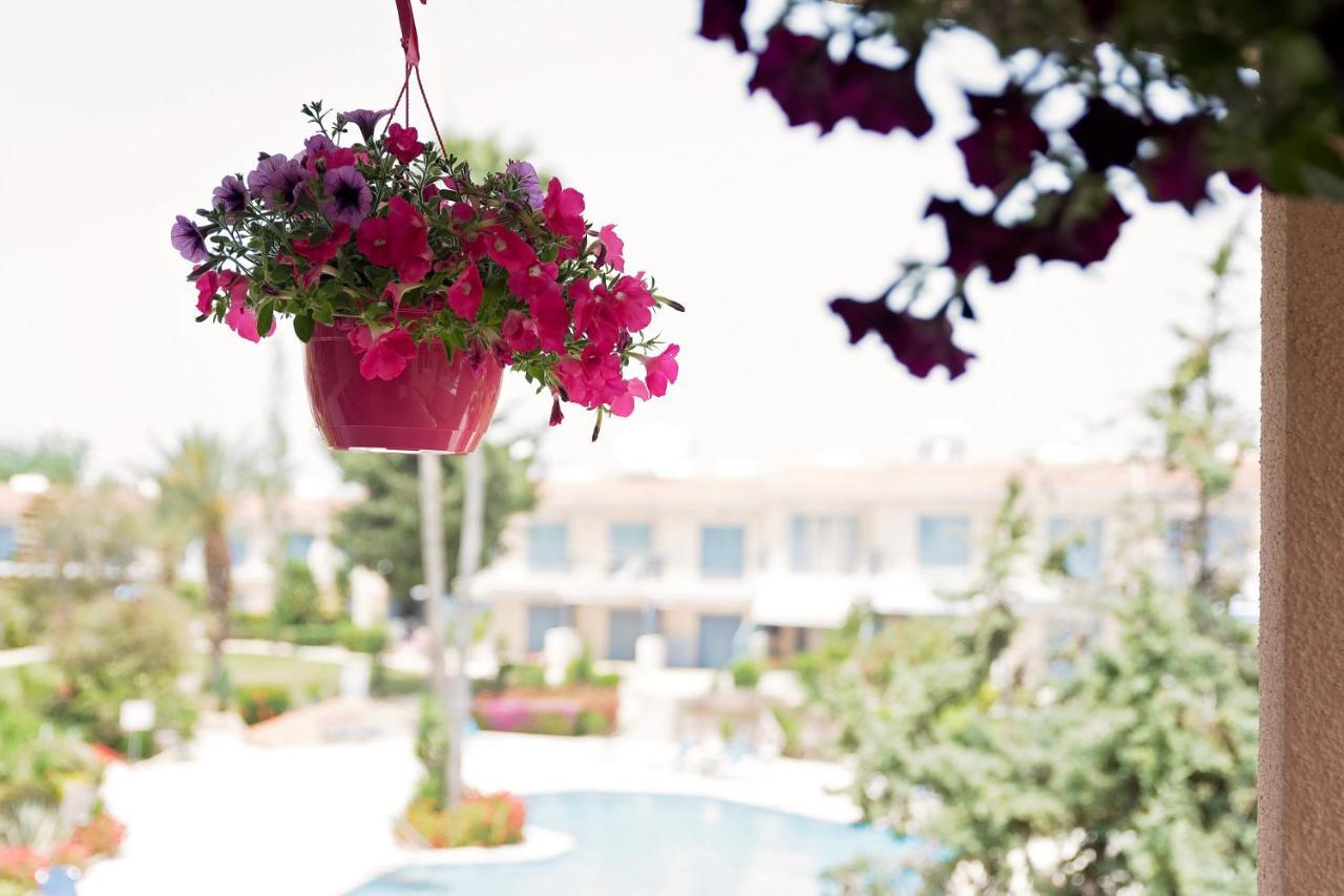 Holiday Apartment Walking Distance To The Sea Paphos Exterior photo